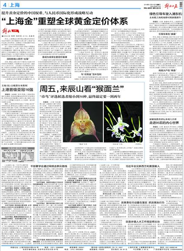 解放日报2